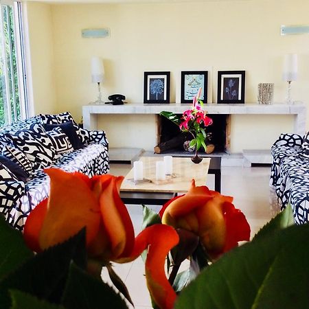 Casa Roa (Adults Only) Appartement Mexico-stad Buitenkant foto