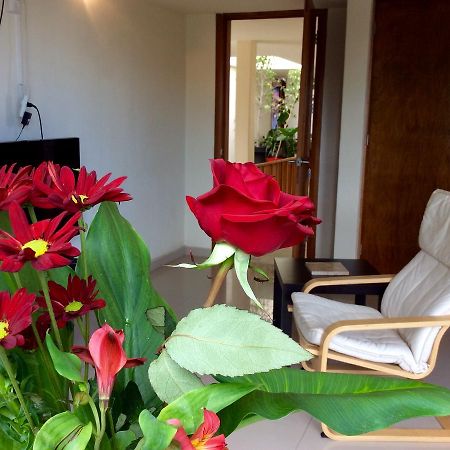 Casa Roa (Adults Only) Appartement Mexico-stad Buitenkant foto
