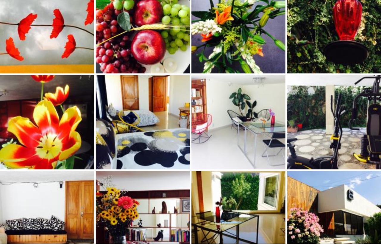 Casa Roa (Adults Only) Appartement Mexico-stad Buitenkant foto