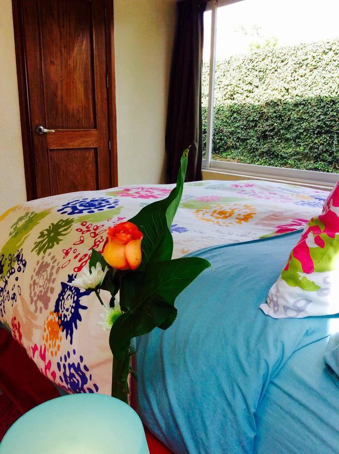 Casa Roa (Adults Only) Appartement Mexico-stad Buitenkant foto
