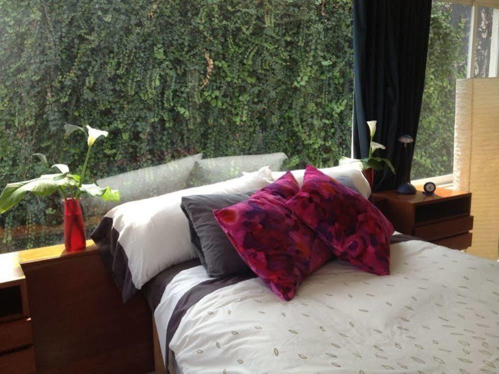 Casa Roa (Adults Only) Appartement Mexico-stad Buitenkant foto
